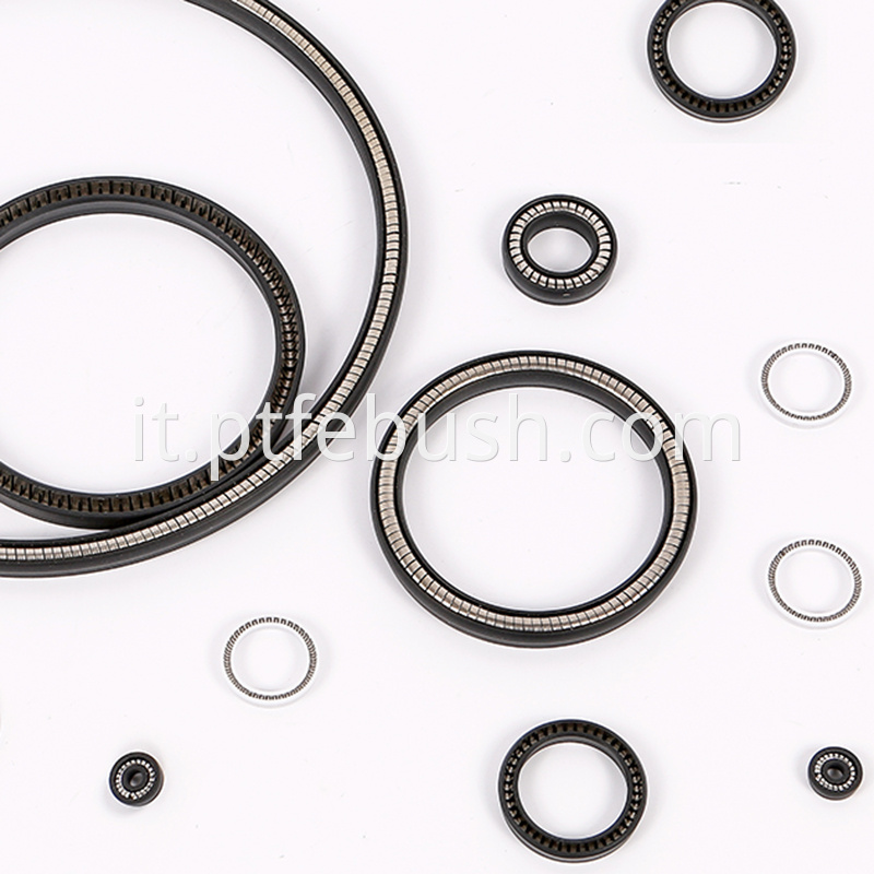 Spring Energized Seal 8